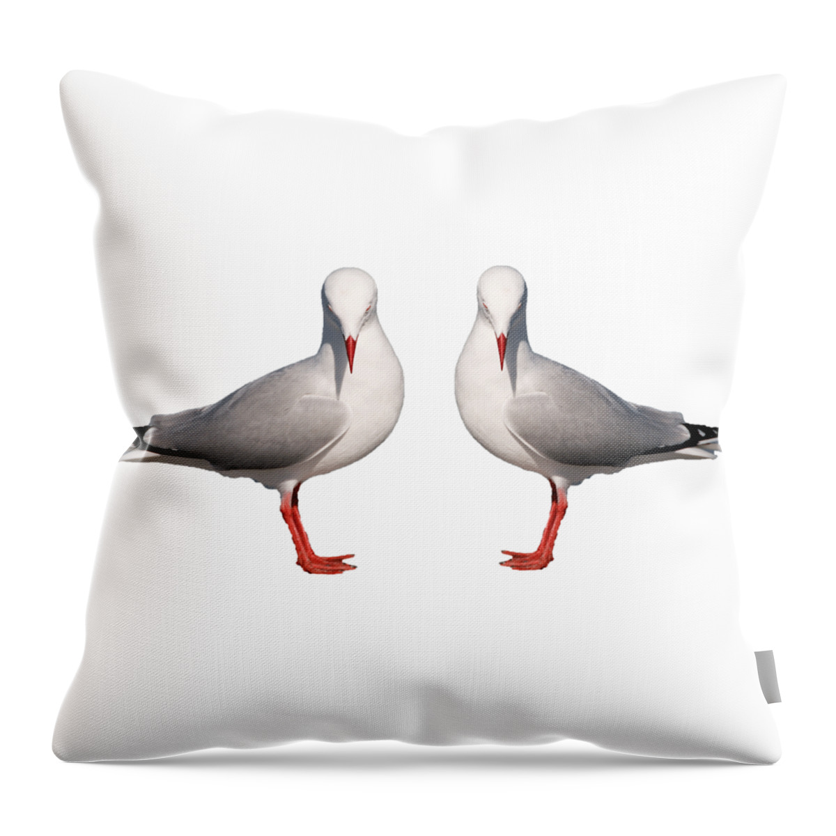 Seagull; Silver Gull;t-shirt; Wall Art;framed Art; Throw Pillow featuring the photograph Beautiful Silver Gull. Original and Exclusive Photo Art. by Geoff Childs