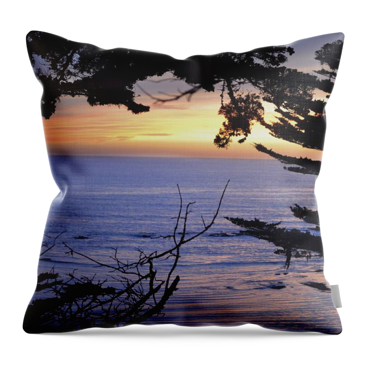  Throw Pillow featuring the photograph Beautiful sunset by Alex King
