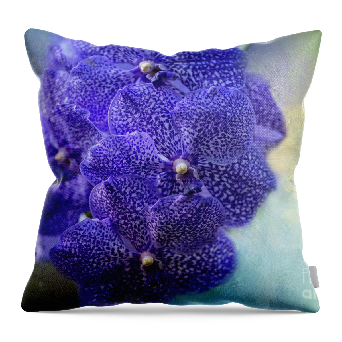 Vanda Throw Pillow featuring the photograph Beautiful Vanda Orchid by Eva Lechner