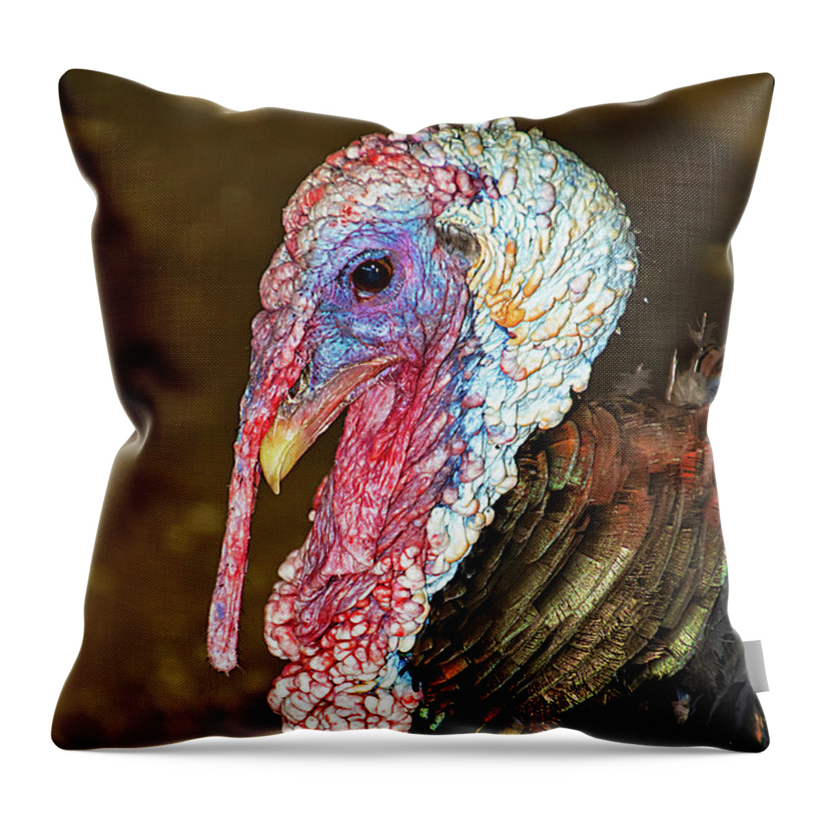 Turkey Throw Pillow featuring the photograph Beautifully Ugly Turkey by Bob Slitzan