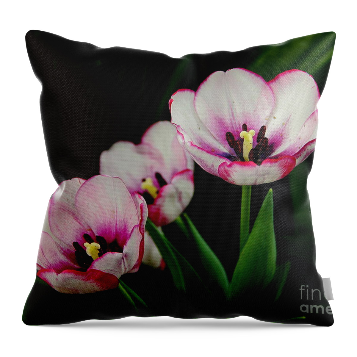 Flowers Throw Pillow featuring the photograph Beauty Abounds by Allen Nice-Webb