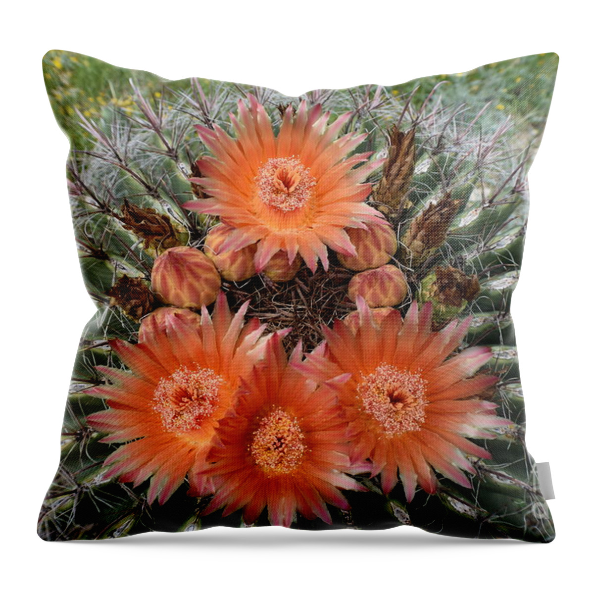 Arizona Throw Pillow featuring the photograph Beauty Among The Thorns by Janet Marie