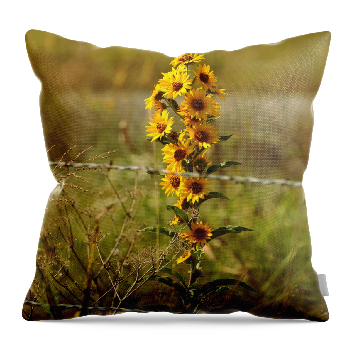 Nature Throw Pillow featuring the photograph Beauty Behind Barbed Wire by Sheila Brown
