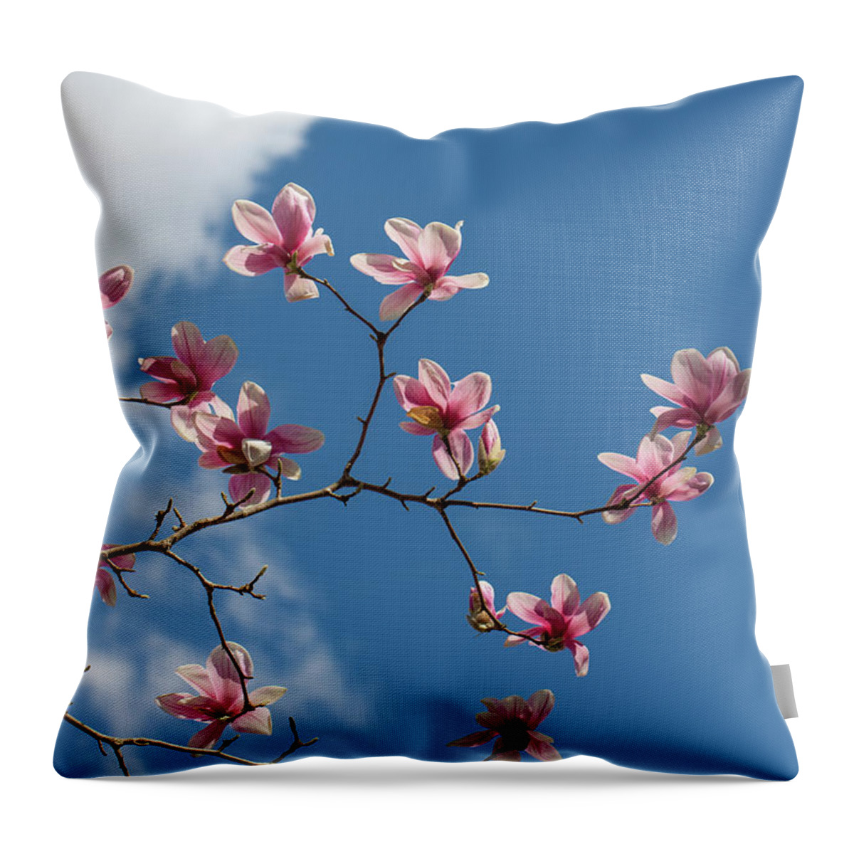 Magnolia Throw Pillow featuring the photograph Beauty Blooms by Sara Hudock