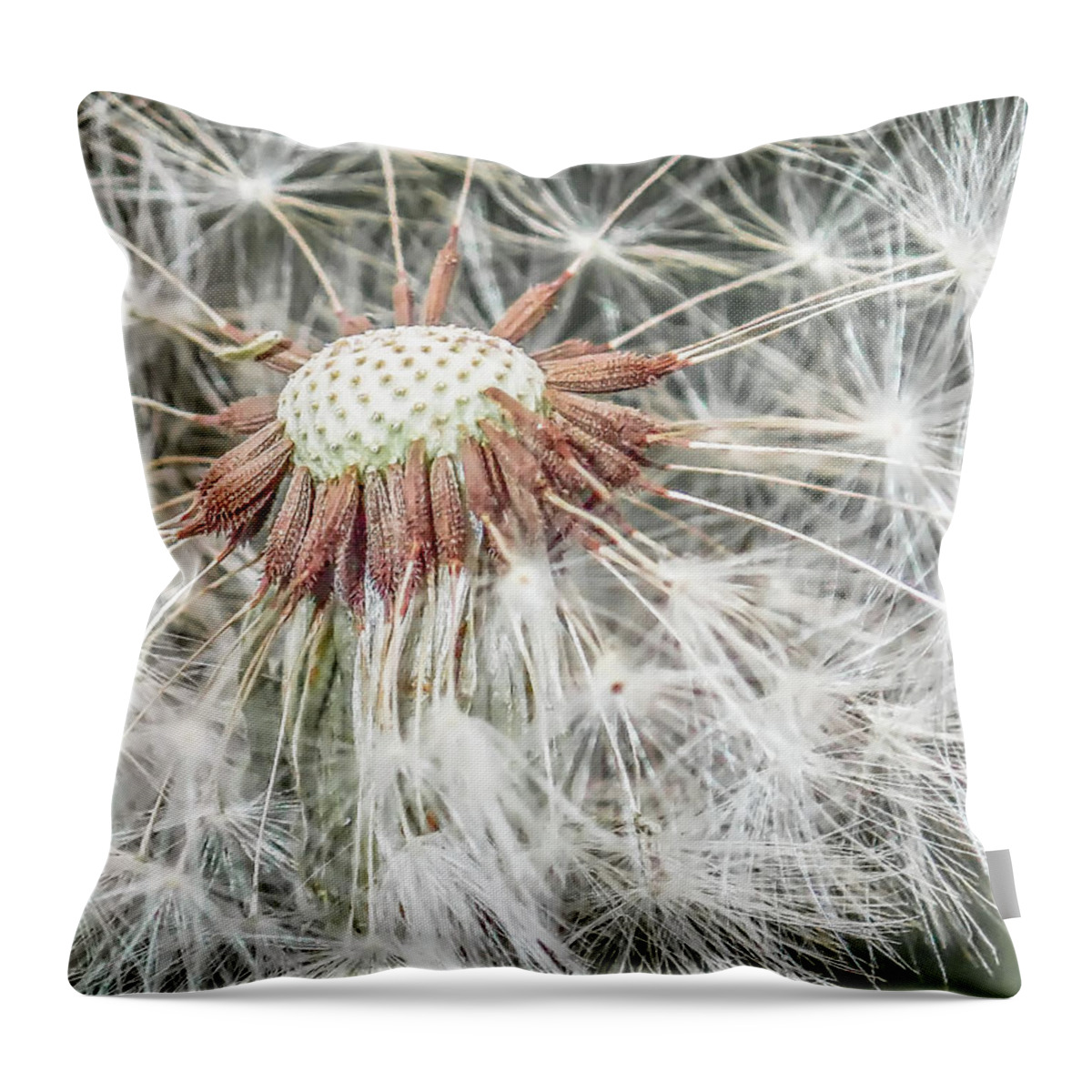 Dandelion Throw Pillow featuring the photograph Beauty Even if Only a Weed by Jennifer Grossnickle