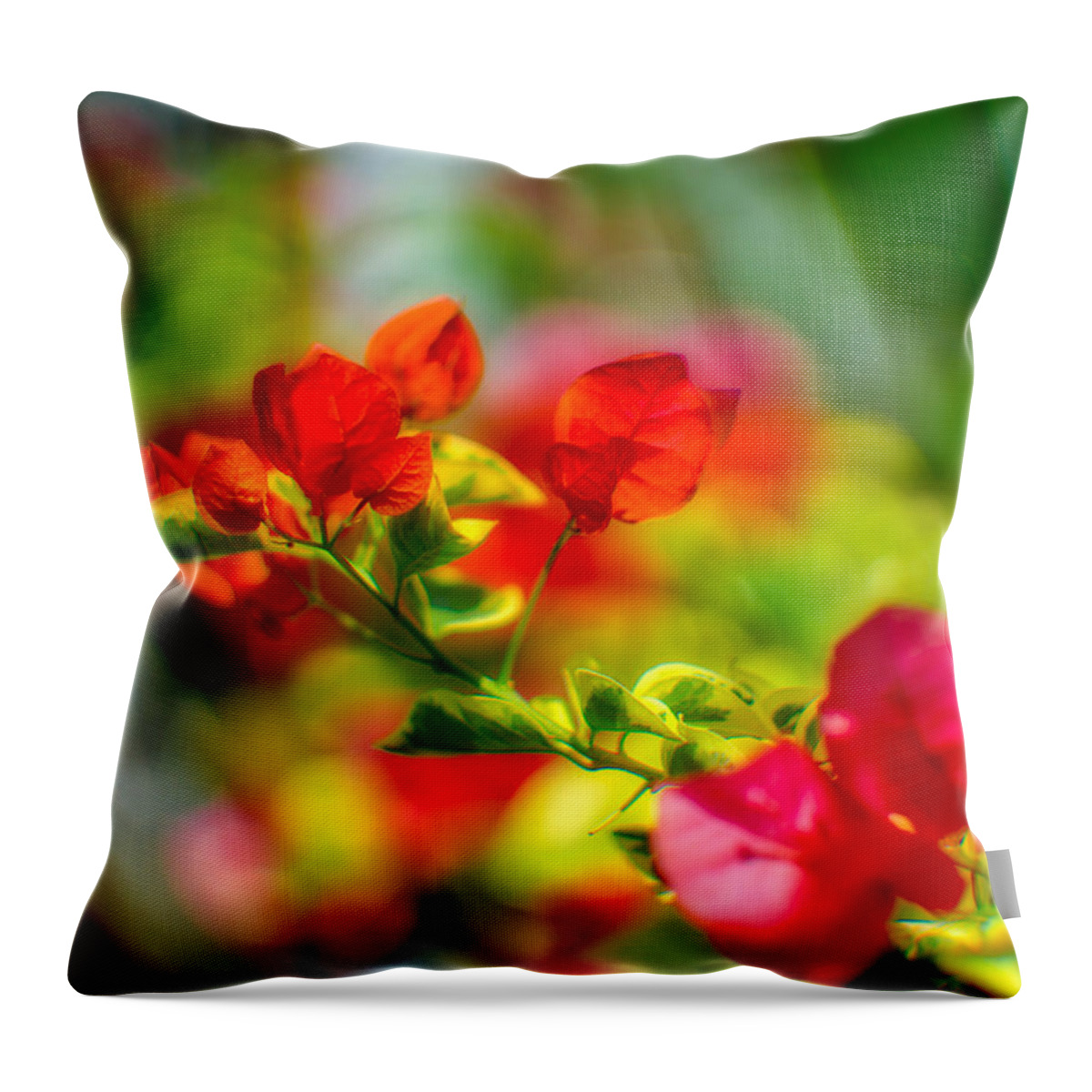 Flower Throw Pillow featuring the photograph Beauty in a Blur by Ches Black