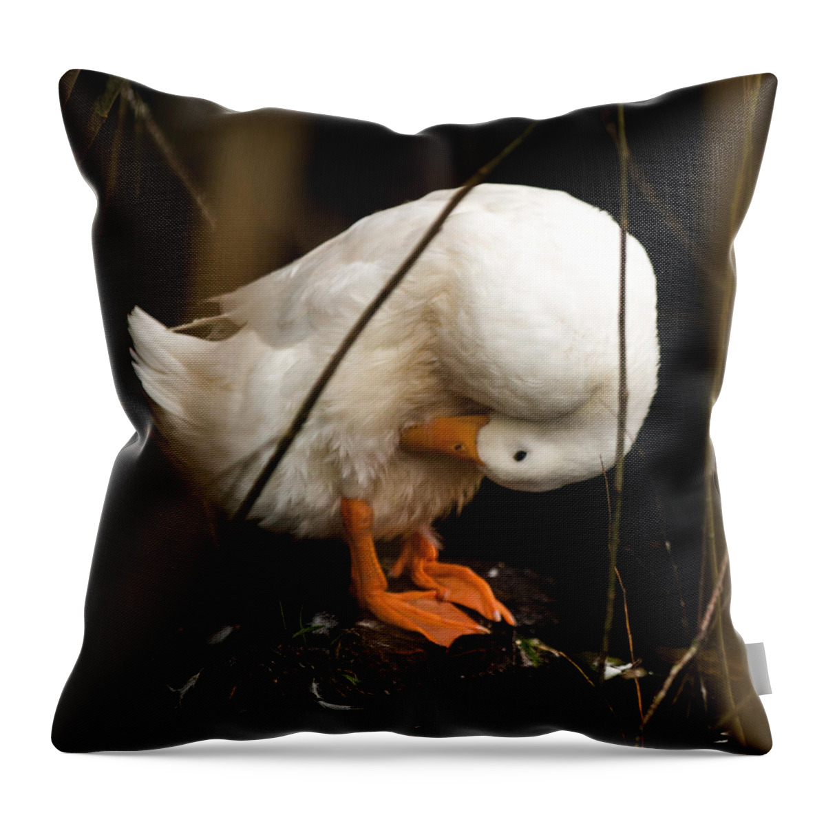 Creek Throw Pillow featuring the photograph Beauty in Motion by E Faithe Lester
