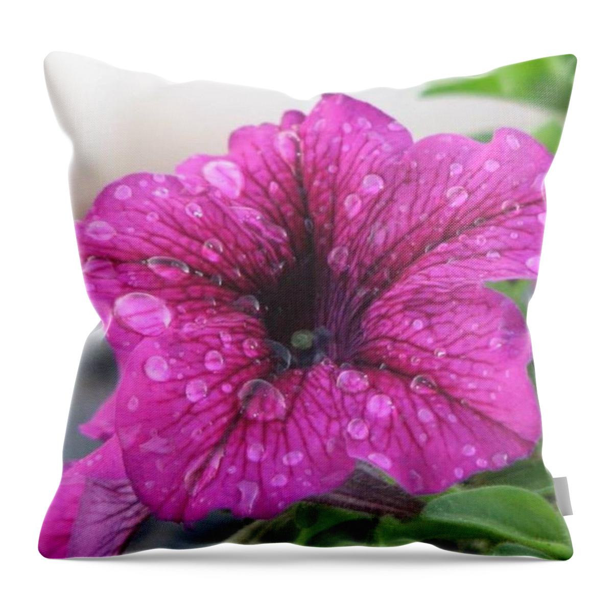 Purple Throw Pillow featuring the photograph Beauty in Nature by Sharon Duguay