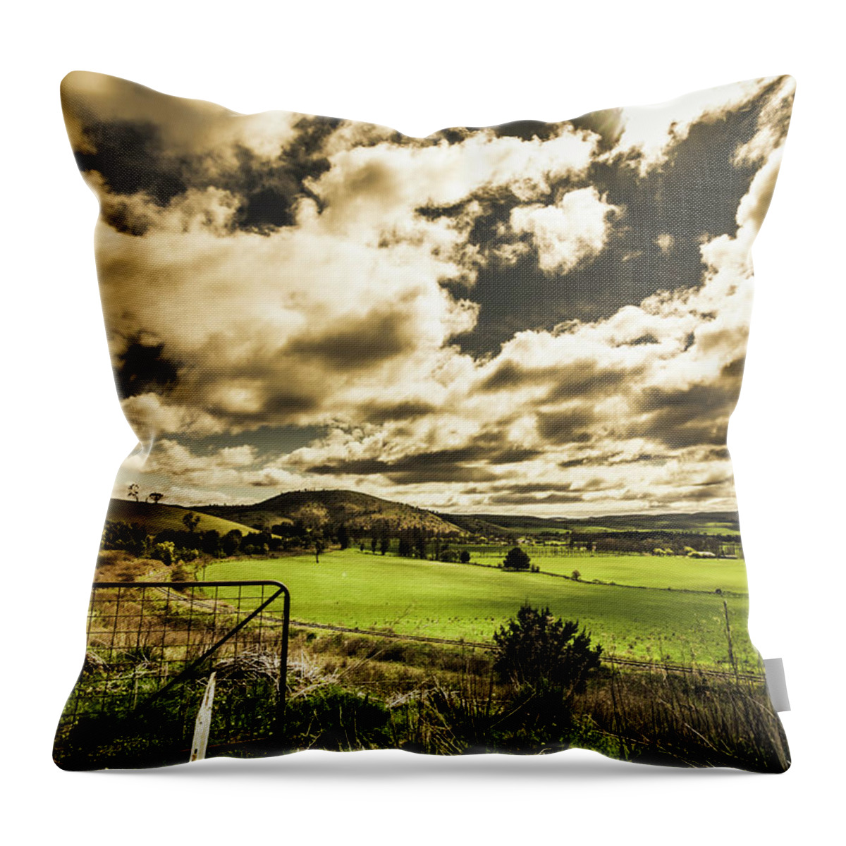 Dynamic Throw Pillow featuring the photograph Beauty in plain contrast by Jorgo Photography