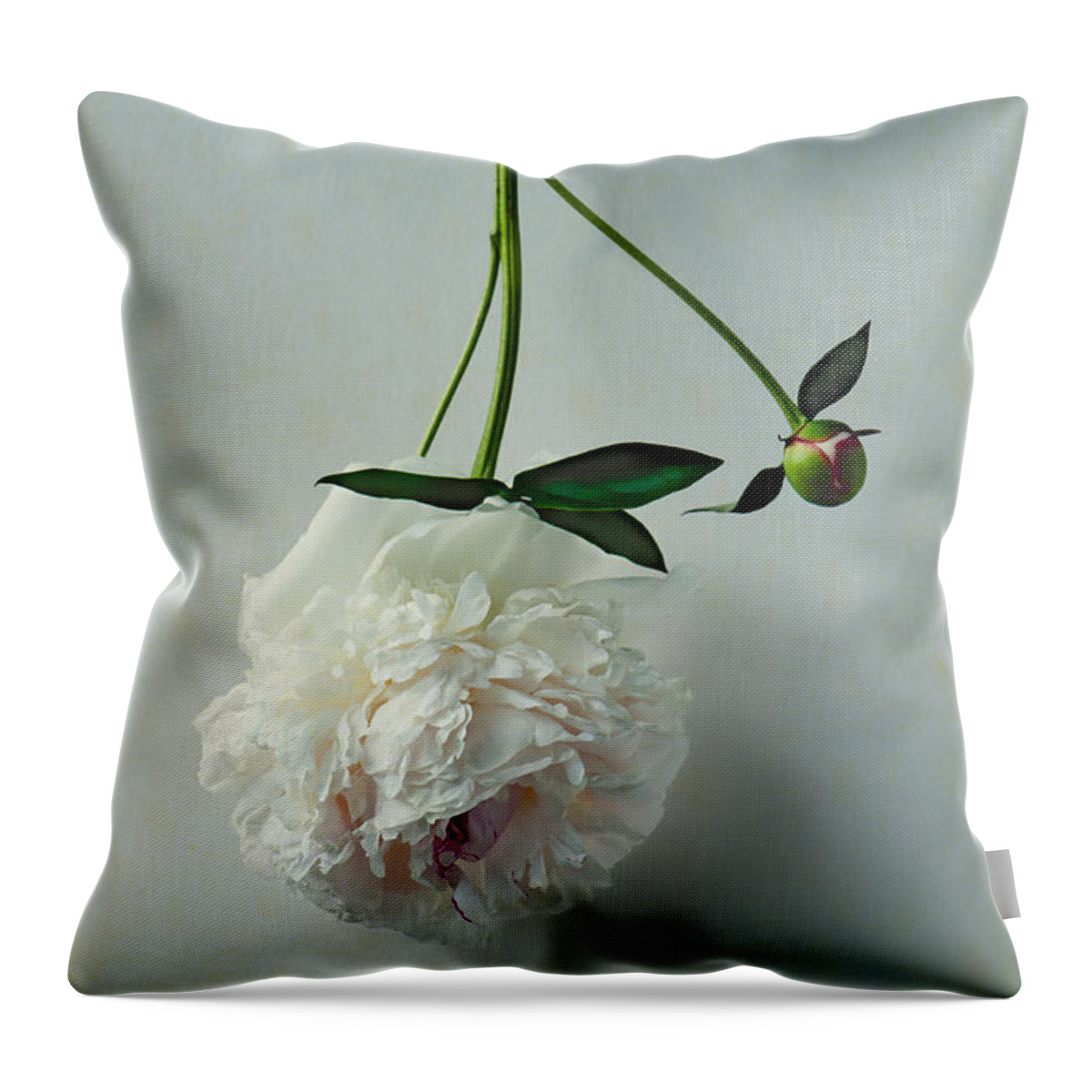 Peony Throw Pillow featuring the photograph Beauty Suspended by Maggie Terlecki
