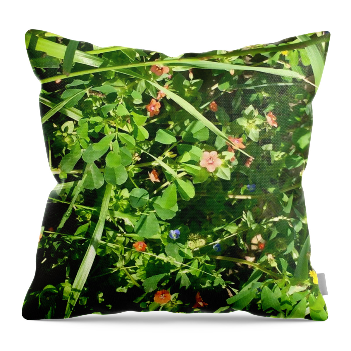 Nature Throw Pillow featuring the photograph Beauty in the Details by Etta Harris