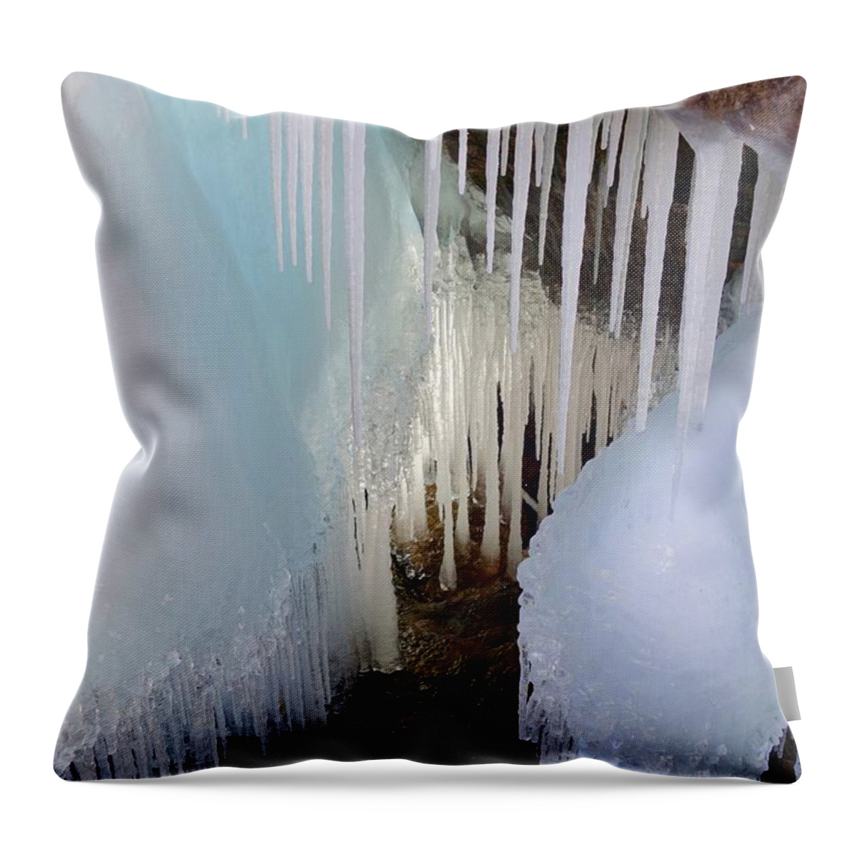 Ice Throw Pillow featuring the photograph Beauty in the Ice by Sandra Updyke