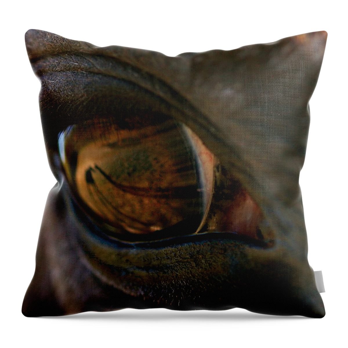 Shadow Throw Pillow featuring the photograph Beauty Is In the Eye of the Beholder by Angela Rath