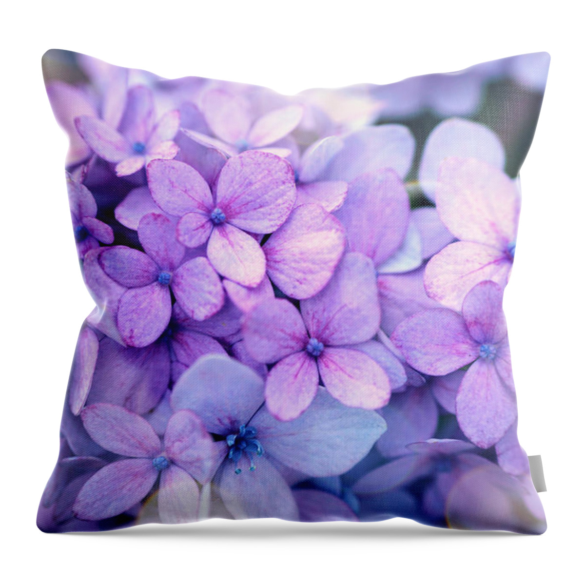 Beautiful Throw Pillow featuring the photograph Beauty of hydrangea by Lilia S