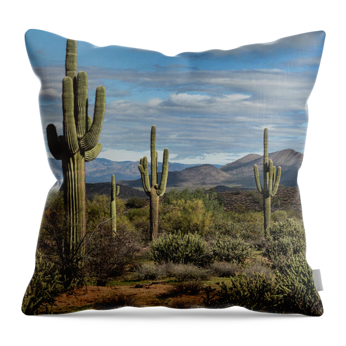 Arizona Throw Pillow featuring the photograph Beauty of the Sonoran by Saija Lehtonen