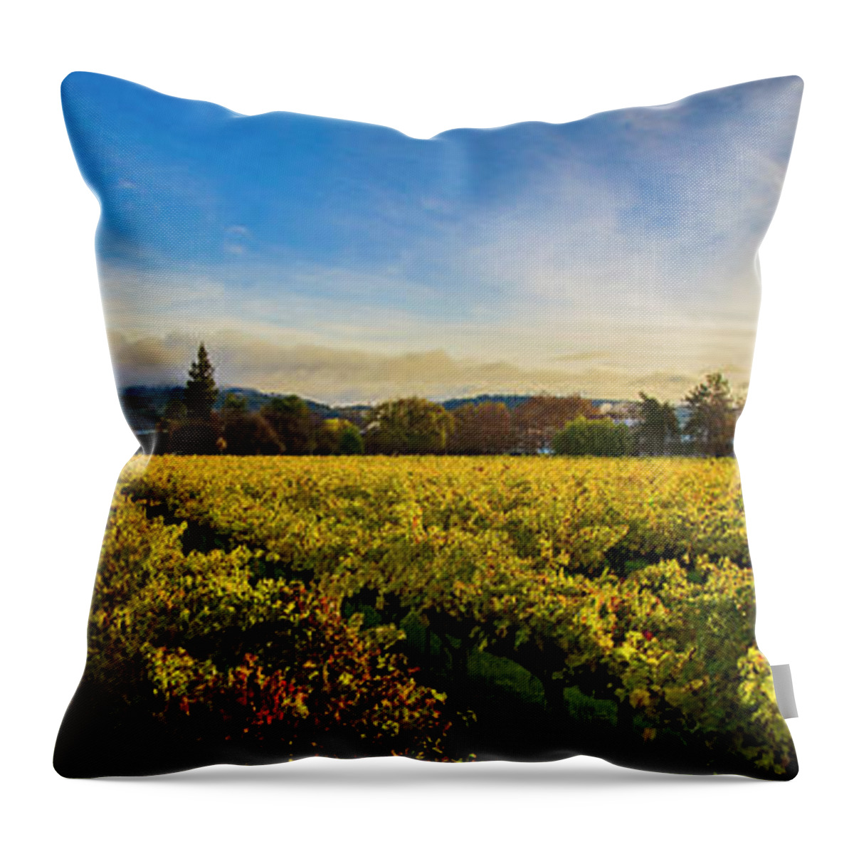 Napa Throw Pillow featuring the photograph Beauty over the Vineyard Panoramic by Jon Neidert