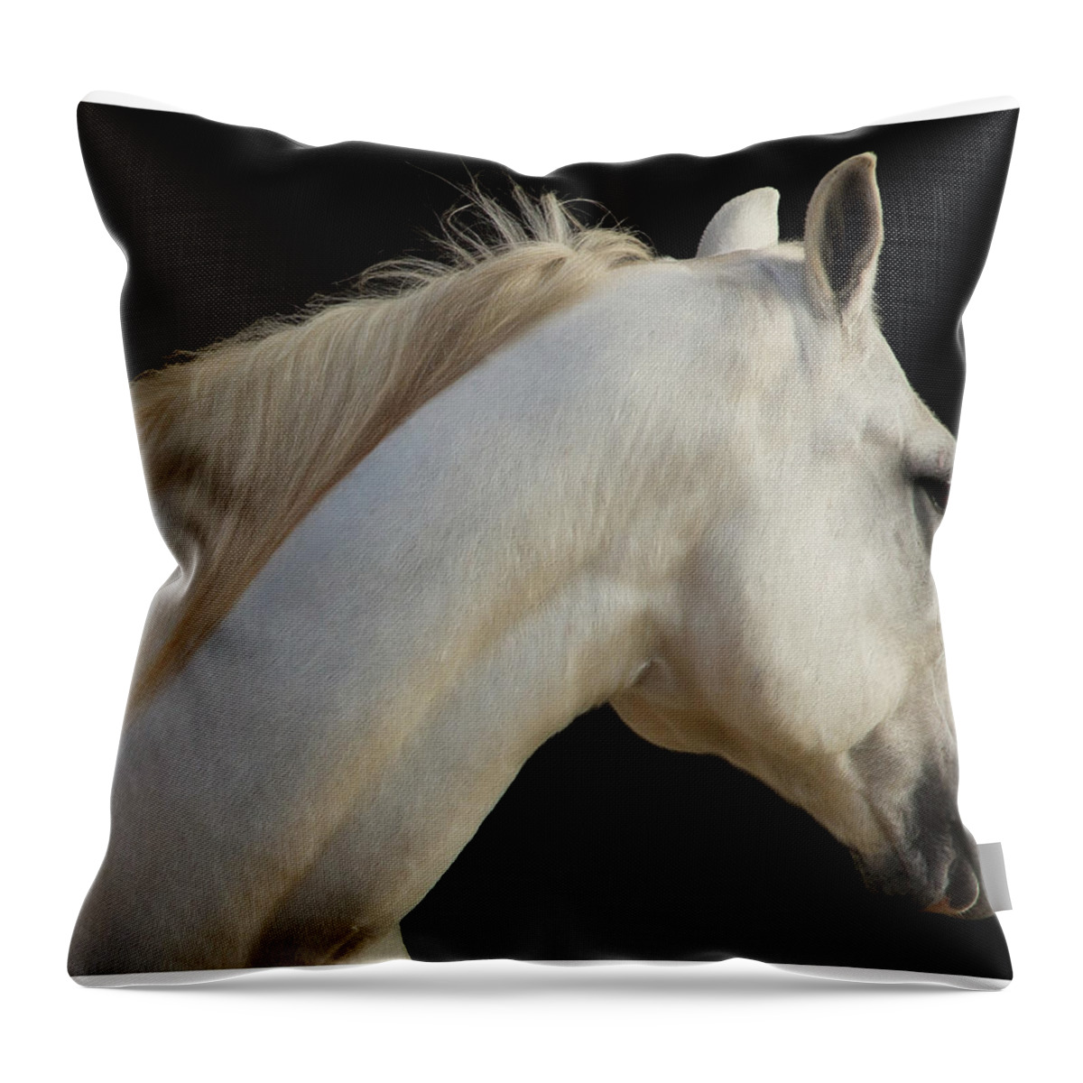 Horse Throw Pillow featuring the photograph Beauty by Sharon Jones