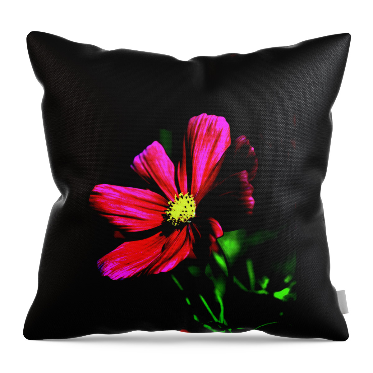 Nature Throw Pillow featuring the photograph Beauty by Tom Prendergast