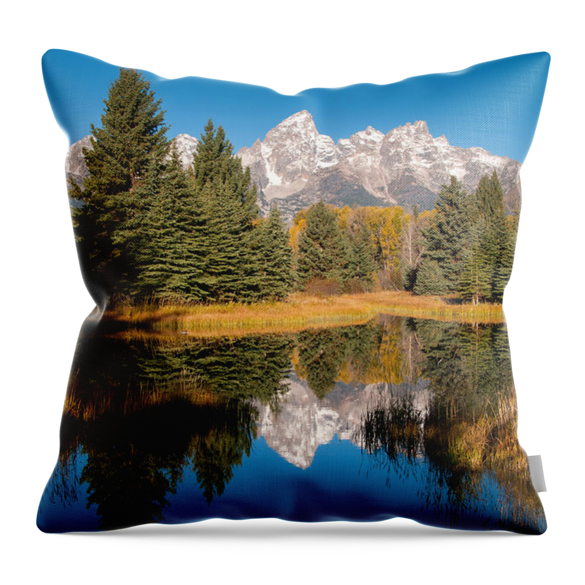 Grand Teton Throw Pillow featuring the photograph Beaver Pond at Schwabacher Landing by Steve Stuller