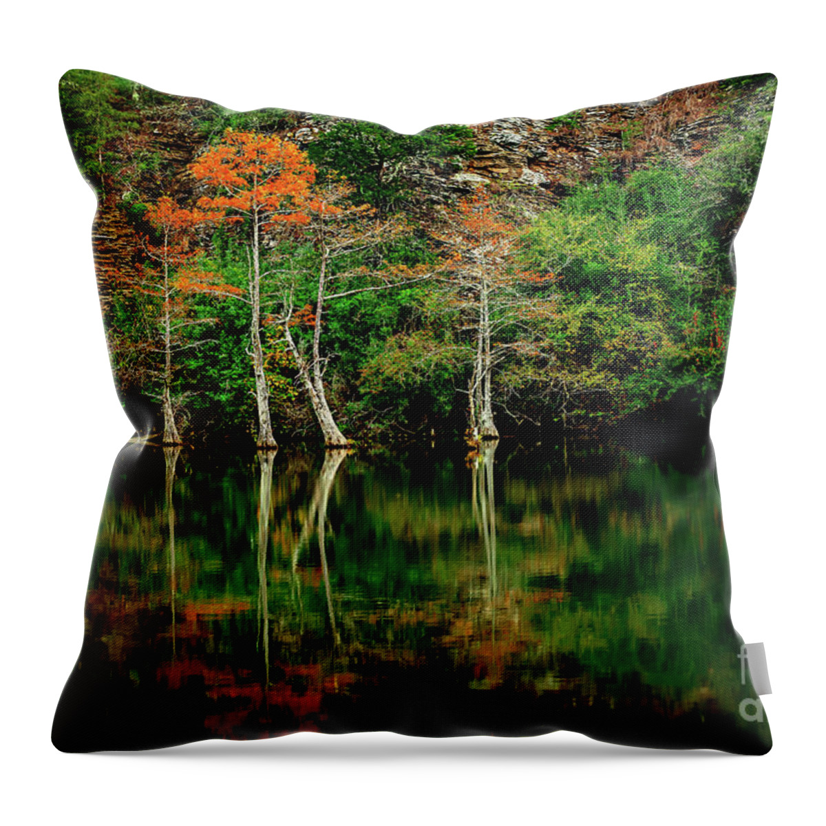 Landscape Throw Pillow featuring the photograph Beaver's Bend Color Explosion by Tamyra Ayles