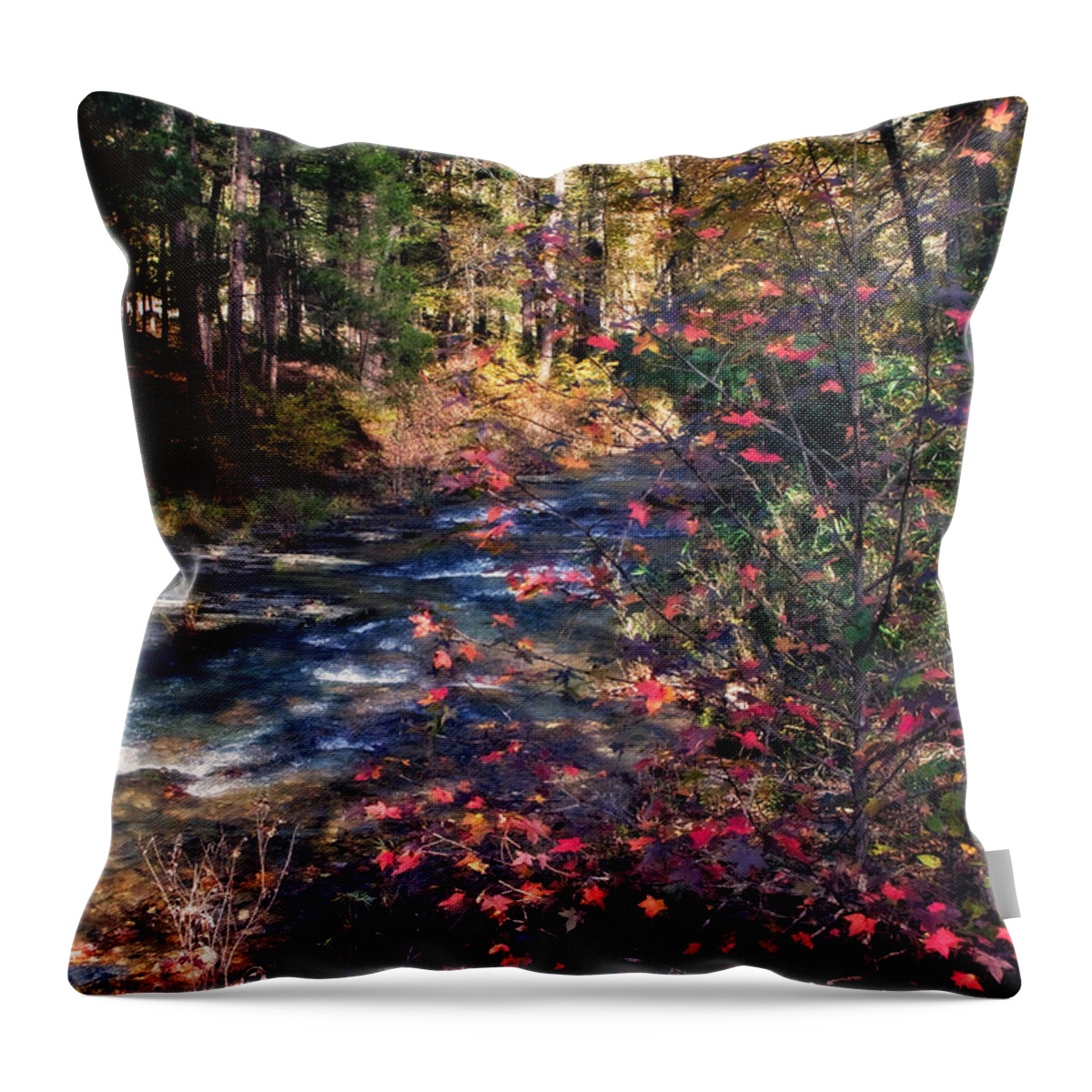 Autumn Throw Pillow featuring the photograph Beavers Bend by Lana Trussell