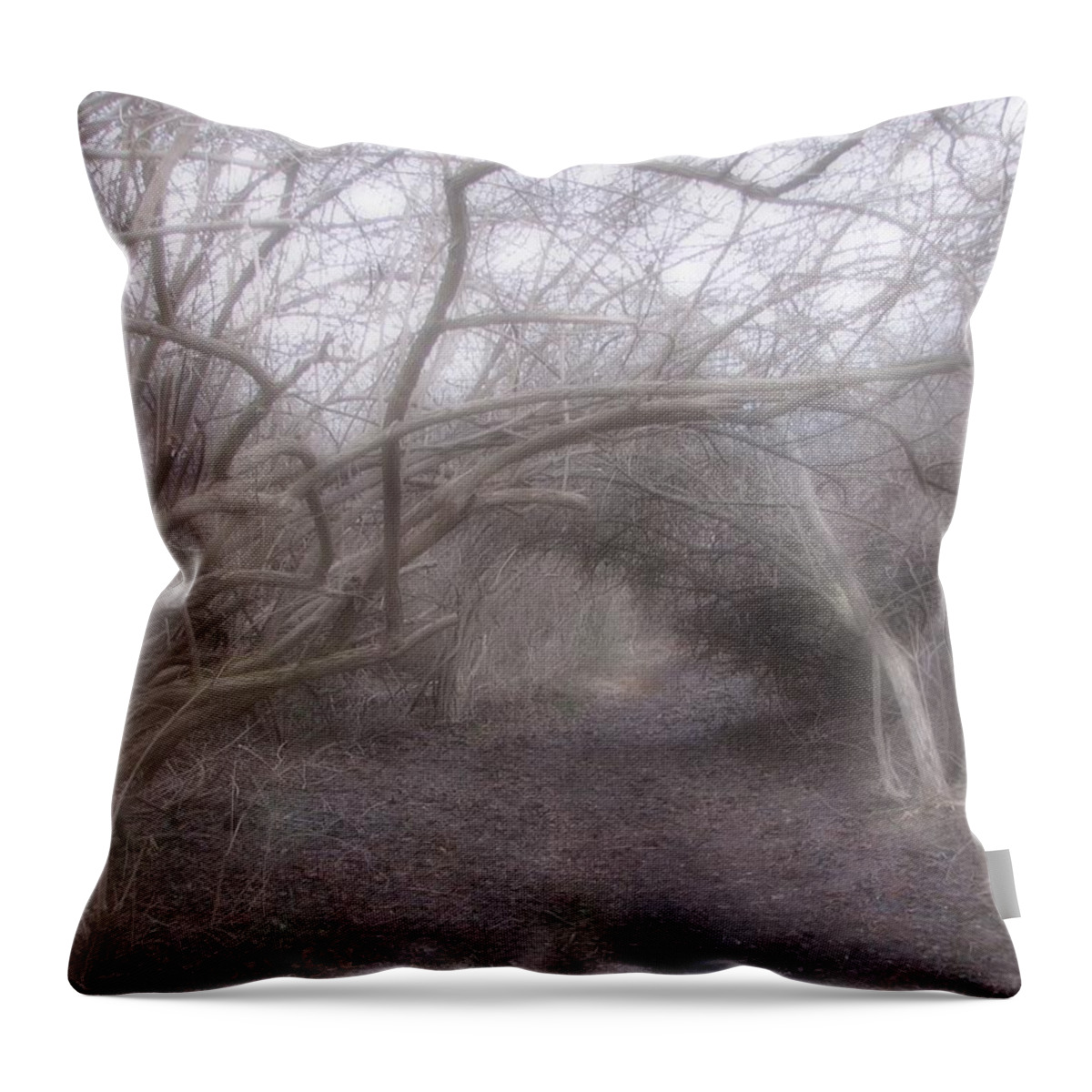 Arching Branches Throw Pillow featuring the photograph Beckoning Dream by Roxy Riou