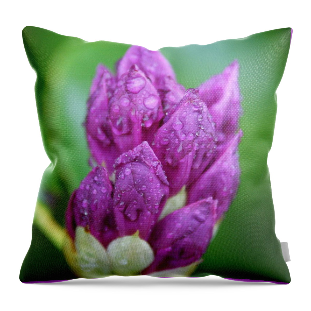 Flower Throw Pillow featuring the photograph Bedazzled by Alex Grichenko