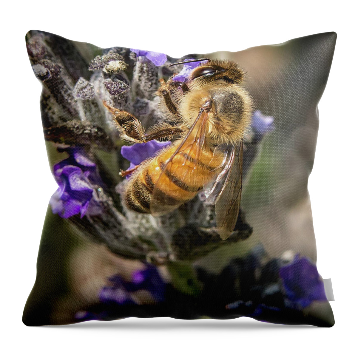 Bee Throw Pillow featuring the photograph Bee 4 by Endre Balogh