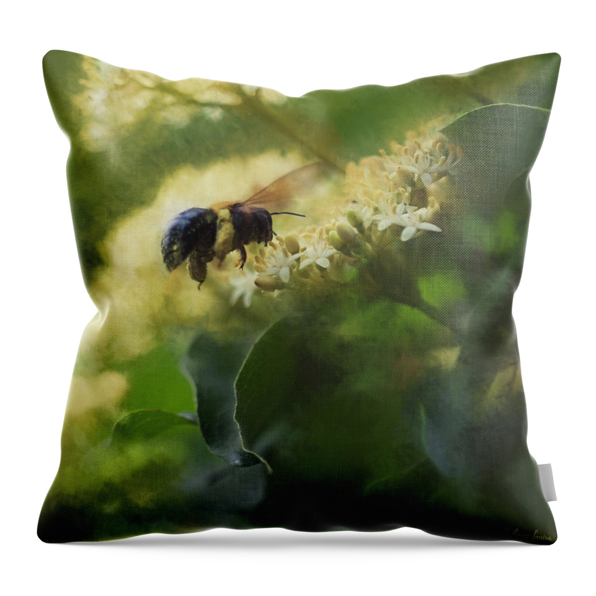 Bee And Elderberry Throw Pillow featuring the photograph Bee and Elderberry by Anna Louise