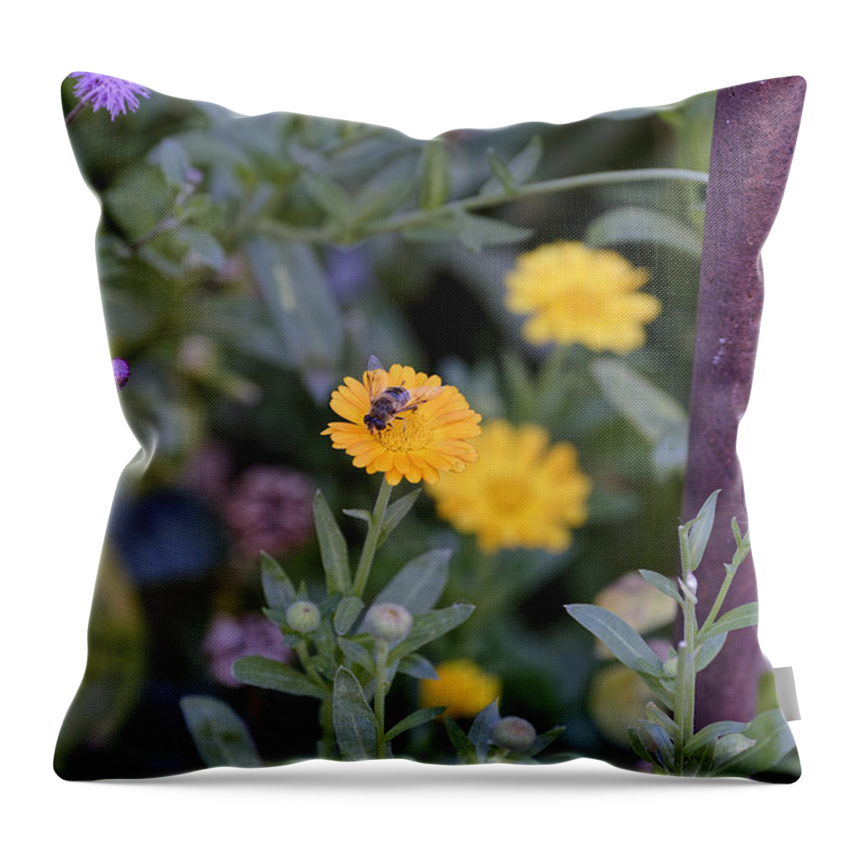 Animal Throw Pillow featuring the photograph Bee at work by Adrian Bud
