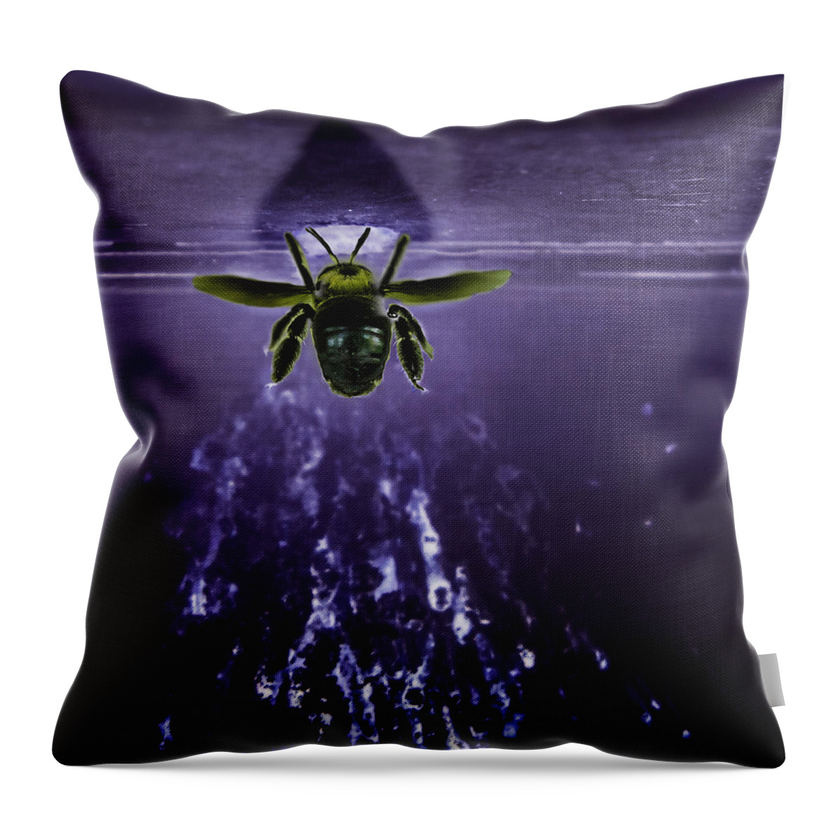 Bee Throw Pillow featuring the photograph Bee Drilling Wood by Metaphor Photo
