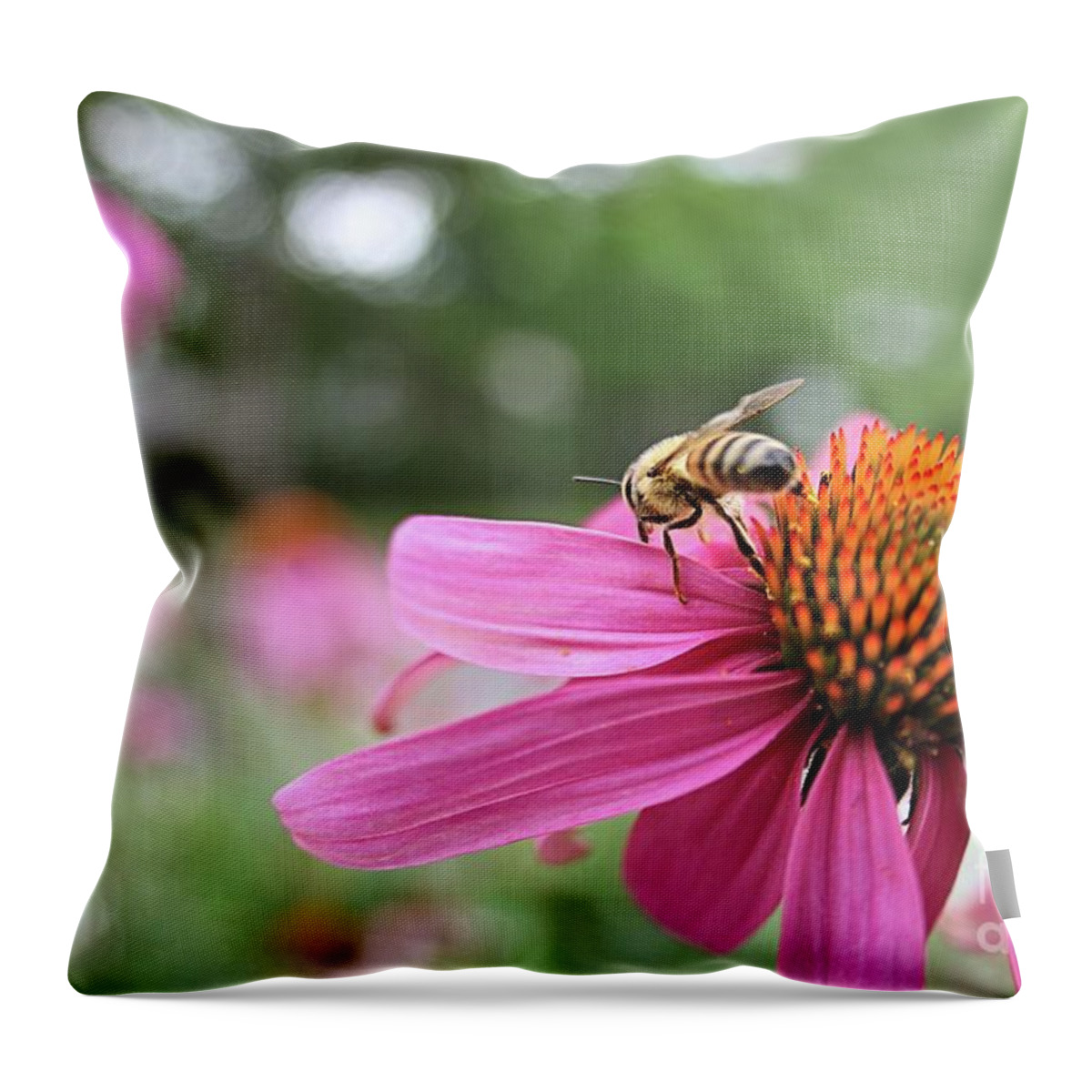 Honey Bee Throw Pillow featuring the photograph Bee Heaven by Kim Yarbrough