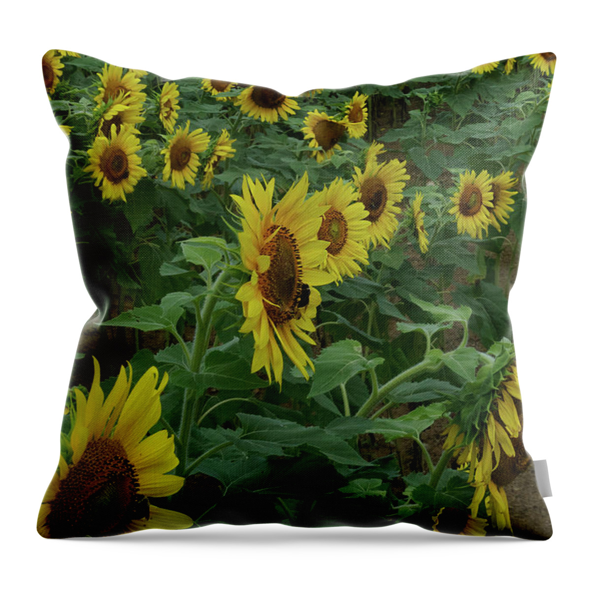 Animals Throw Pillow featuring the photograph Bee Heaven by Skip Willits