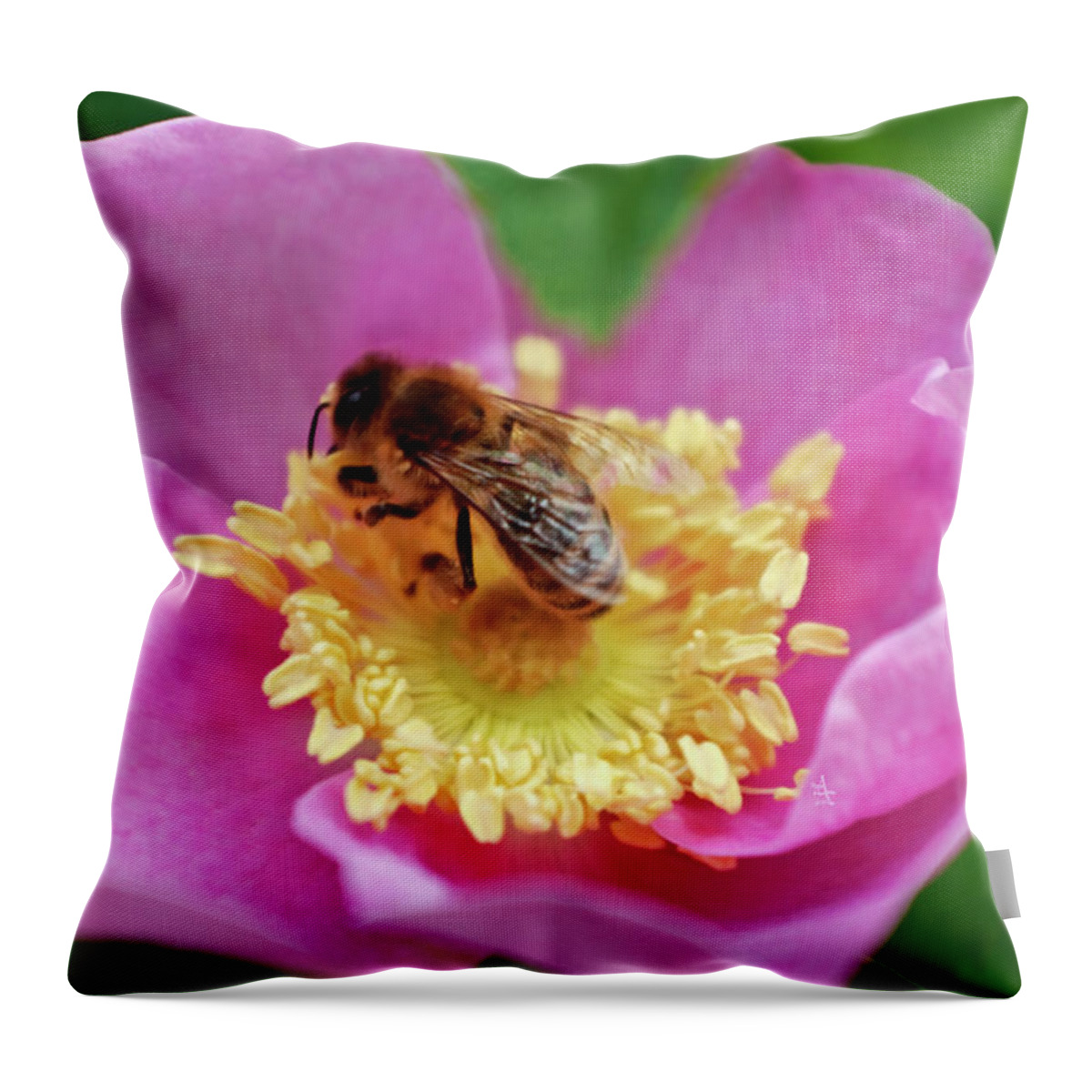 Adria Trail Throw Pillow featuring the photograph Bee Humble by Adria Trail