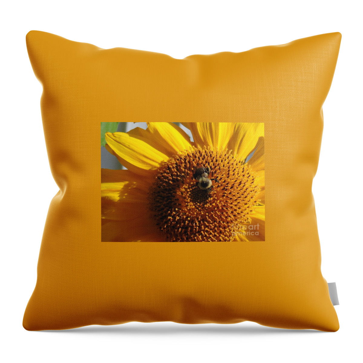  Throw Pillow featuring the photograph Bee In Flower by Michael Wayne Gulliver