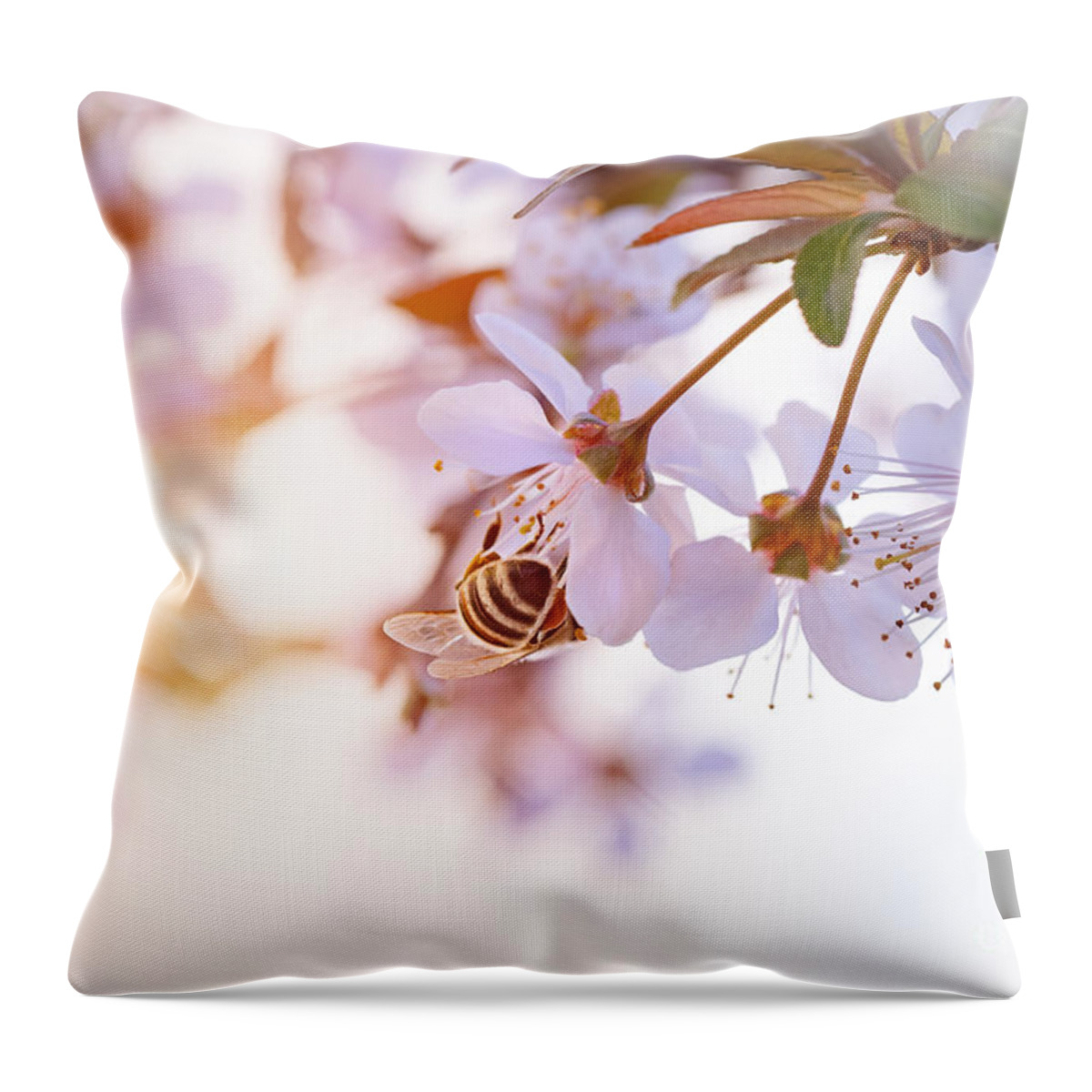 Apple Throw Pillow featuring the photograph Bee pollinates spring cherry by Anna Om