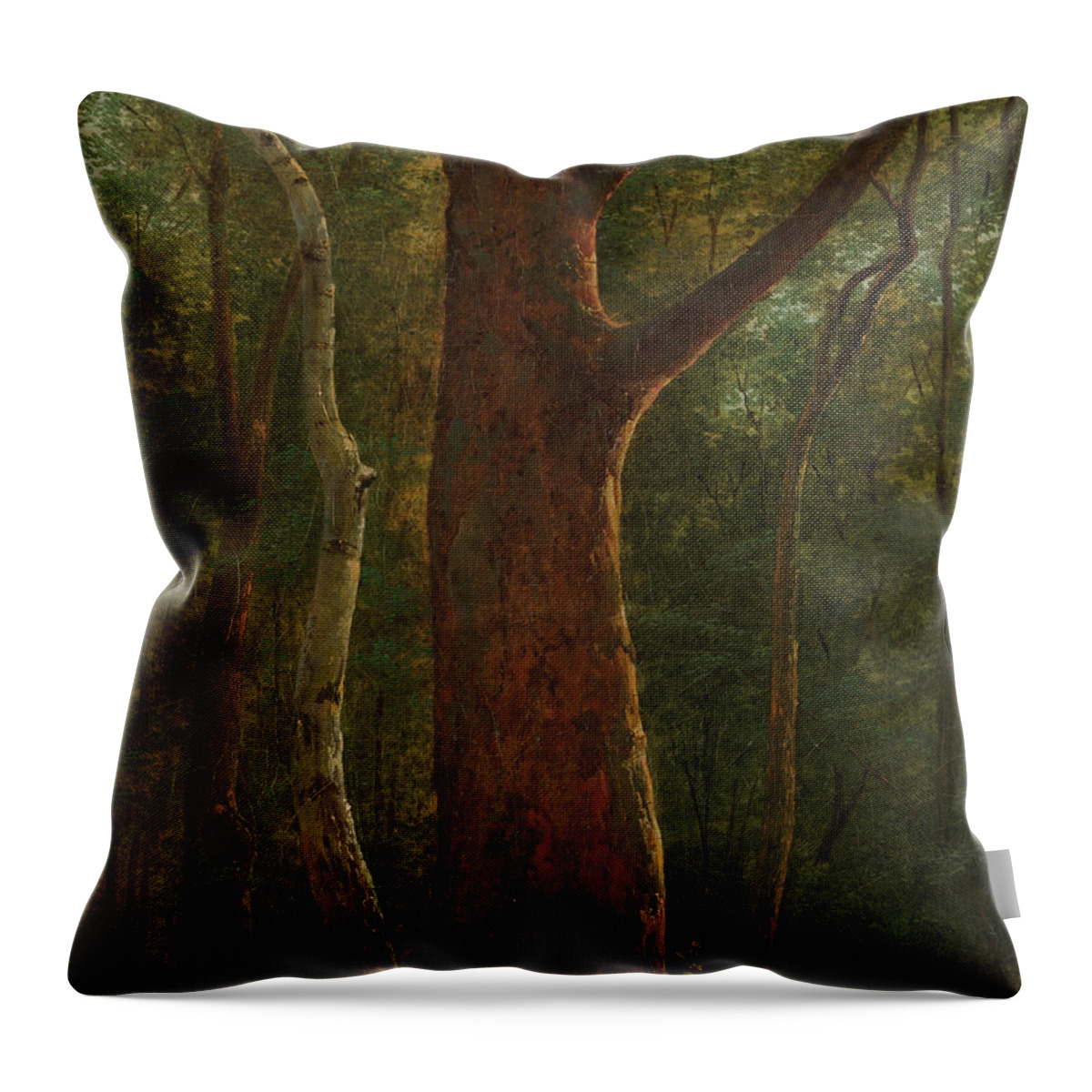 Achille-etna Michallon Throw Pillow featuring the painting Beech Tree by Celestial Images