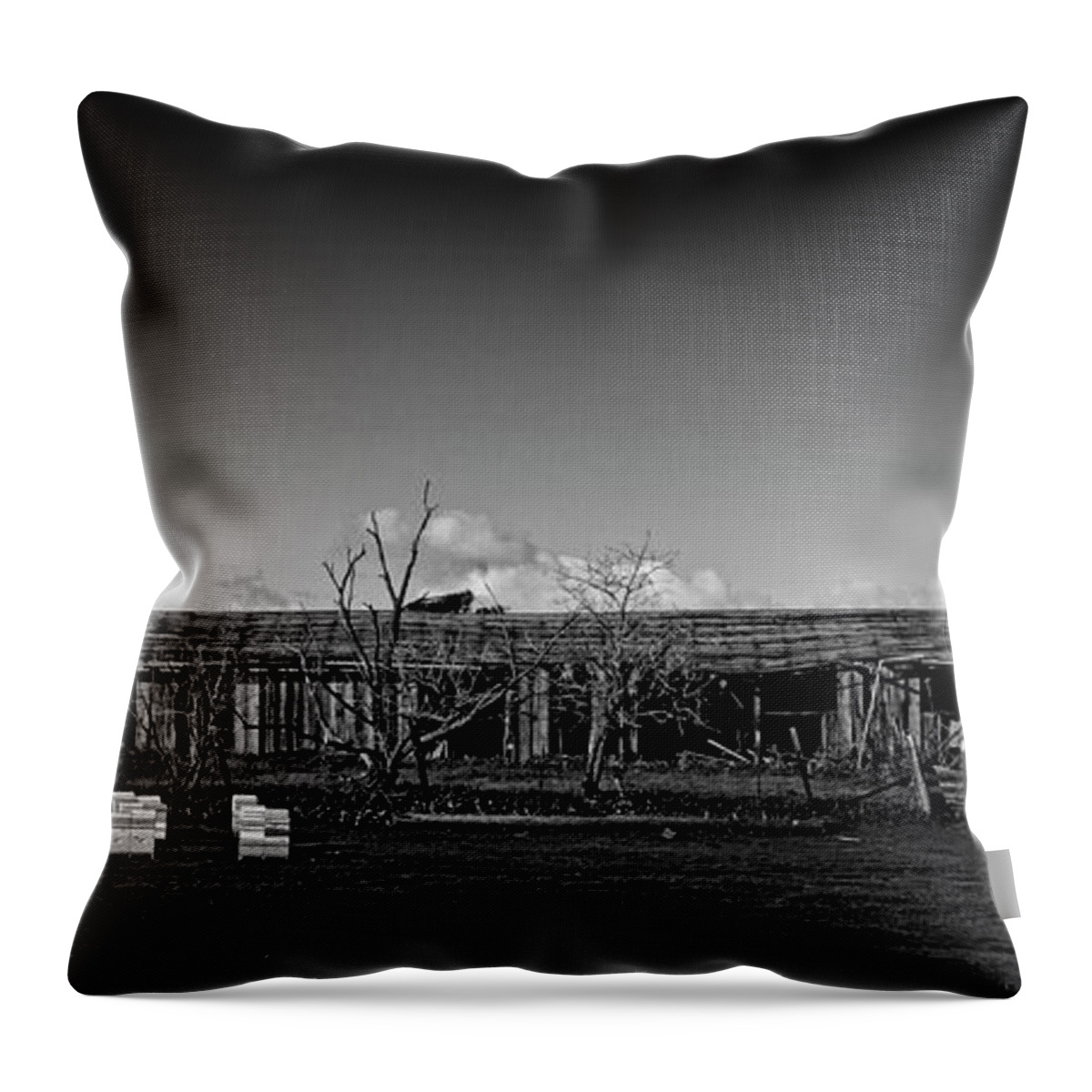 Old Barn. Windmill. Behive Throw Pillow featuring the photograph Beehive Farm by Bruce Bottomley