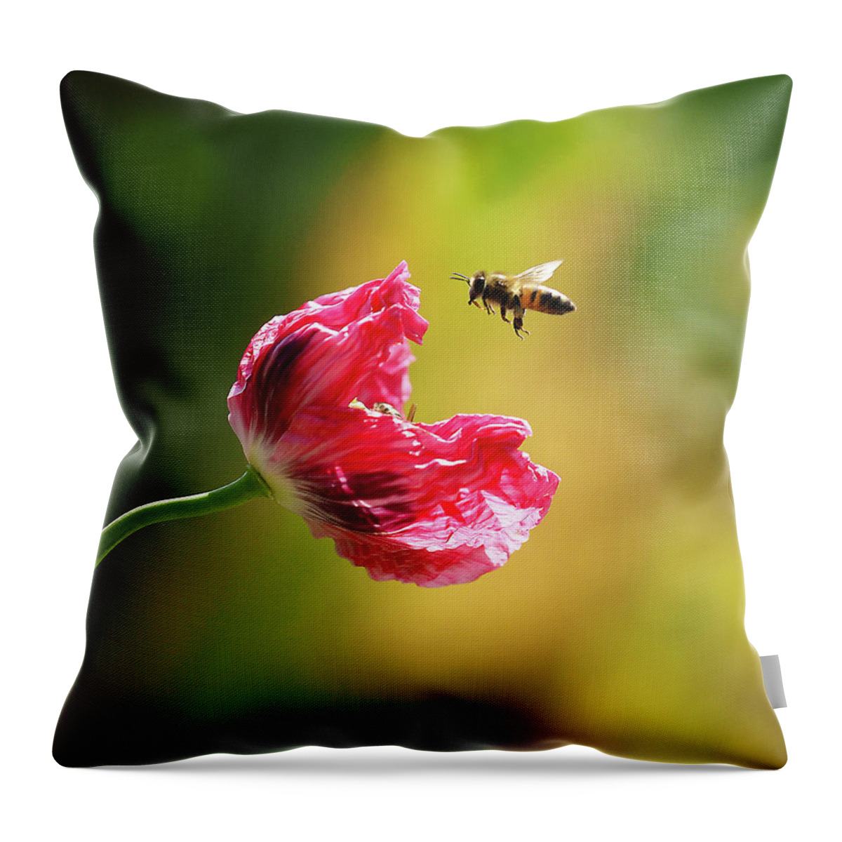 Bee Throw Pillow featuring the photograph Got Bees In Me Opium Poppies by Joe Schofield
