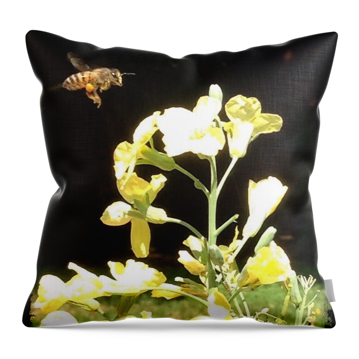 Bees Throw Pillow featuring the photograph Bees Love Broccoli by Daniele Smith