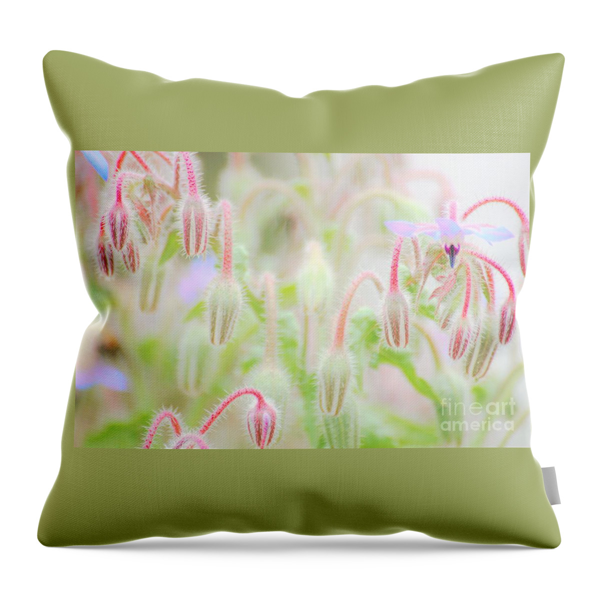 Flowers Throw Pillow featuring the photograph Before all the Blooms by Merle Grenz