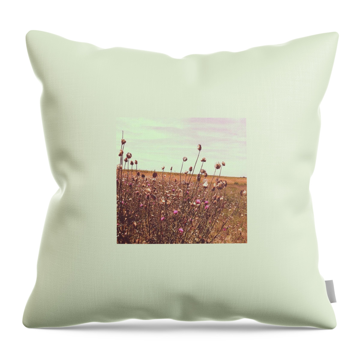 Purple Throw Pillow featuring the photograph Before The Rains Hit by Karen Bosquez