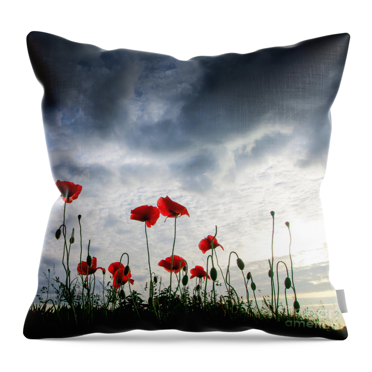 Poppy Throw Pillow featuring the photograph Before the Storm by Franziskus Pfleghart