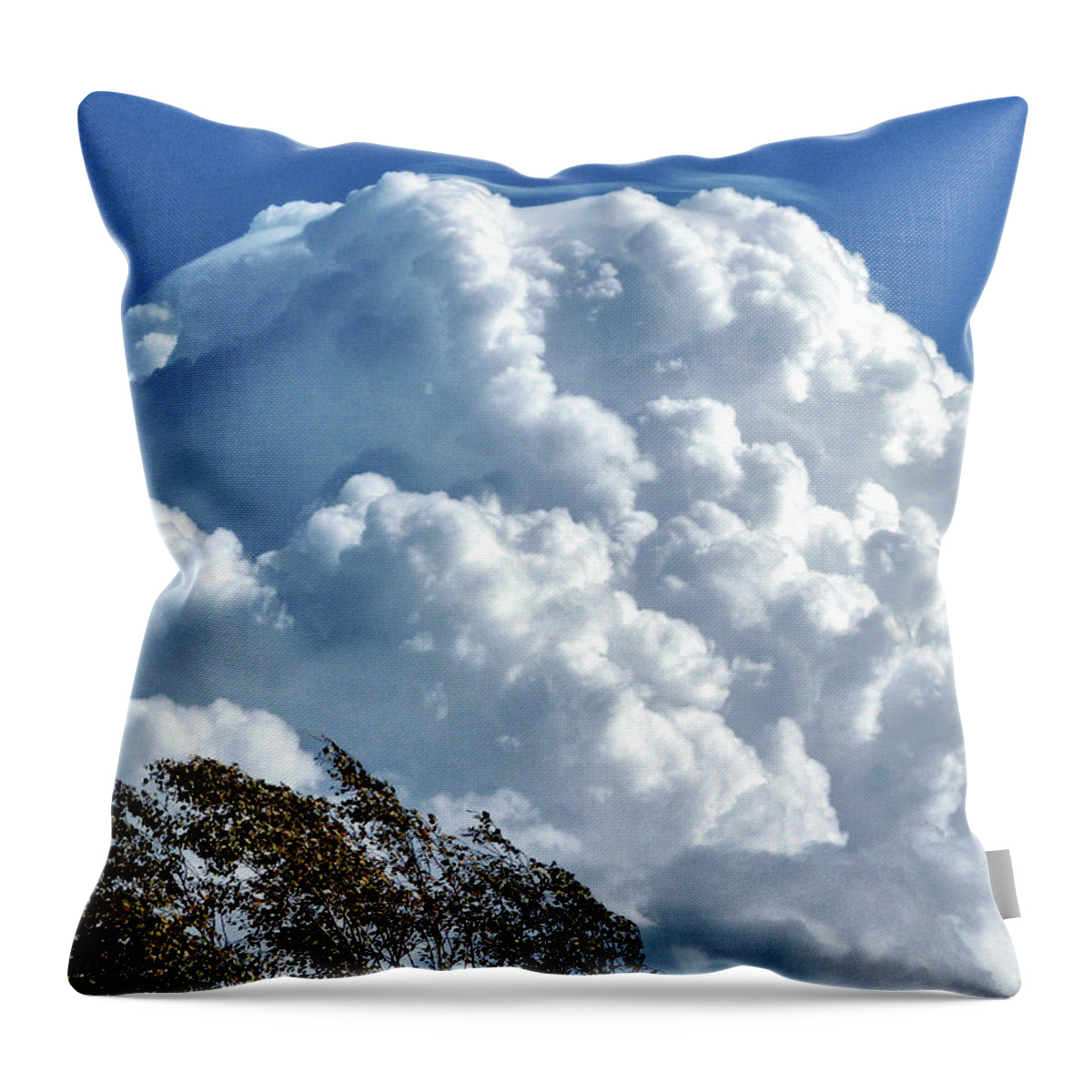 Oregon Throw Pillow featuring the photograph Before The Storm by Lora Fisher