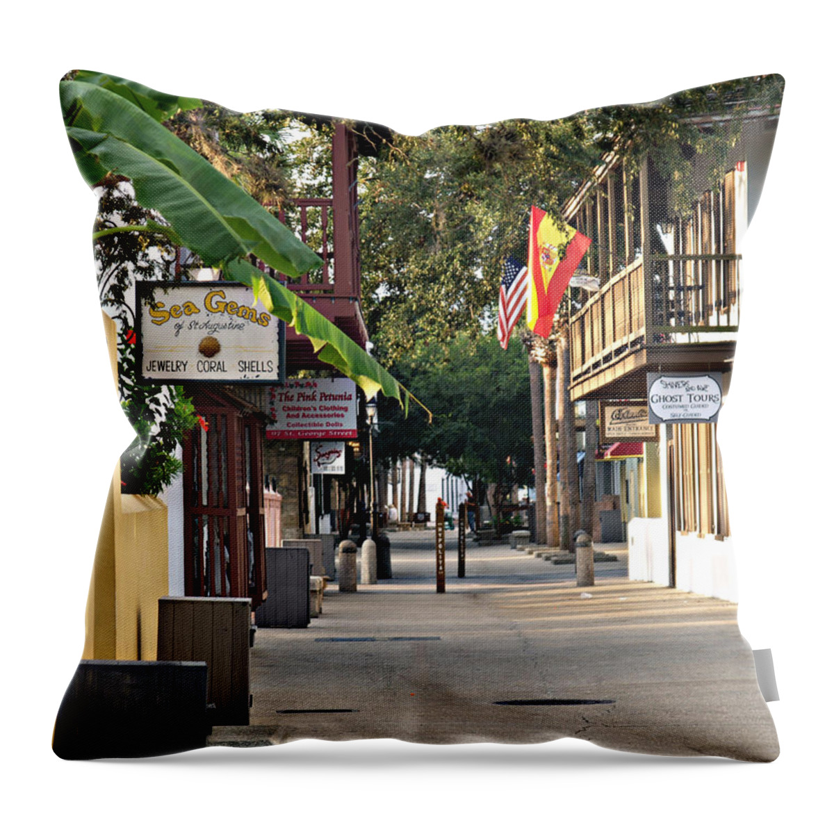 Florida Throw Pillow featuring the photograph Before The Tourists 1 by Bob Johnson