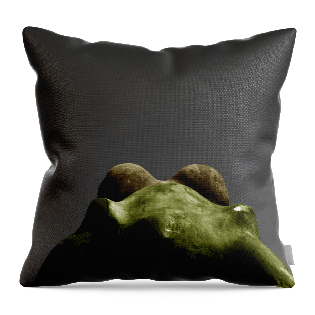 Frog Throw Pillow featuring the photograph Behind the frog by Emme Pons