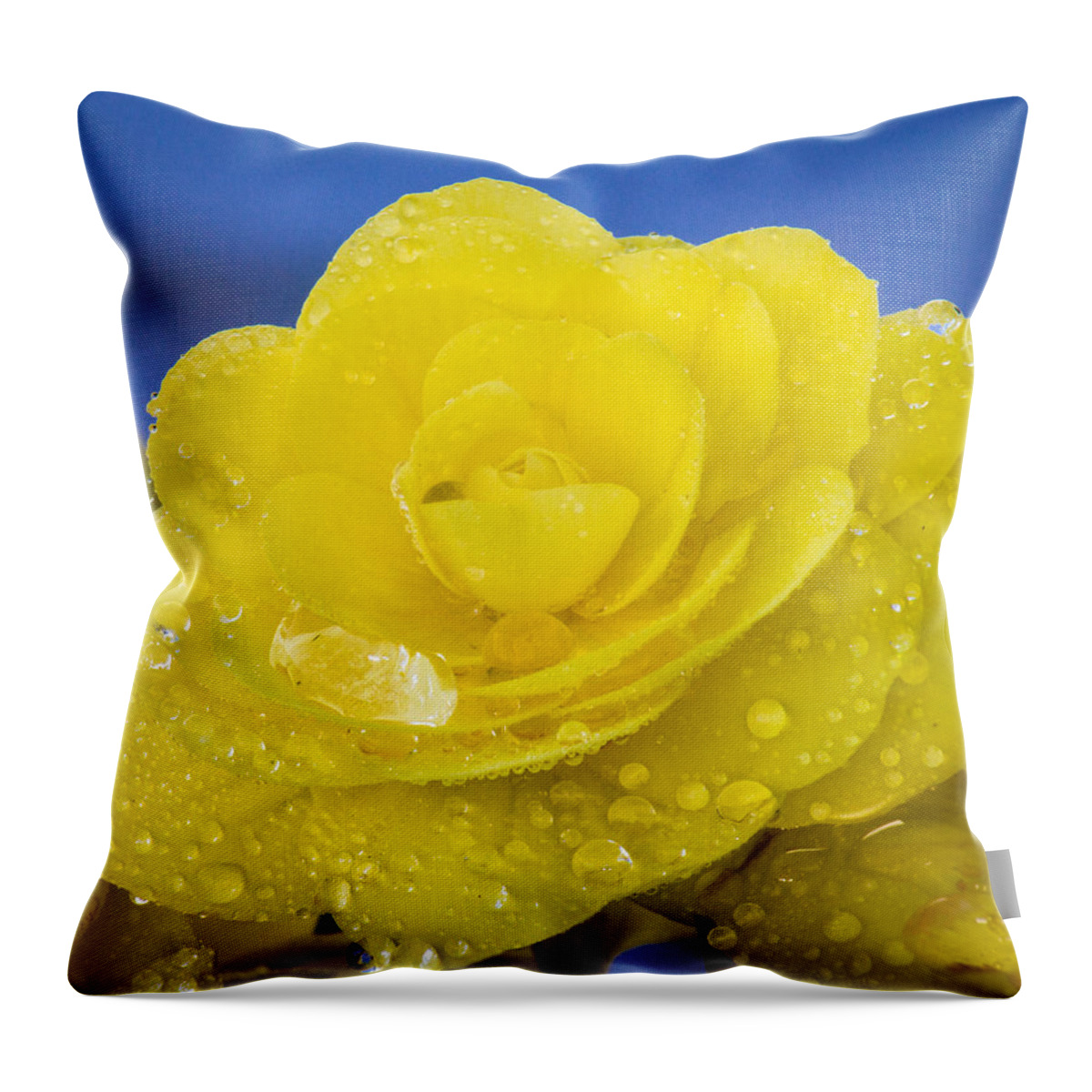 Yellow Throw Pillow featuring the photograph Bejeweled Begonia by Bill Pevlor