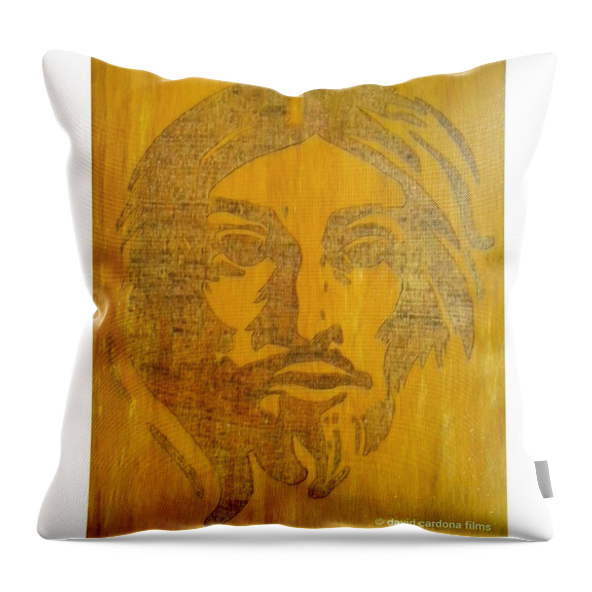 Colors Throw Pillow featuring the photograph Belifer
from
christmonth
by
david by David Cardona