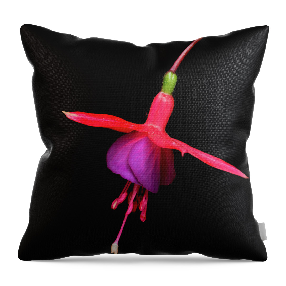 Bell Flower Throw Pillow featuring the photograph Bell flower blossom by Michalakis Ppalis