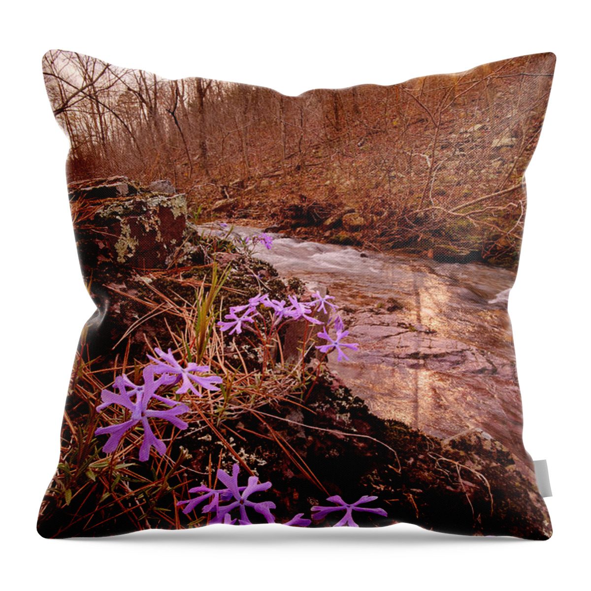 Flowers Throw Pillow featuring the photograph Bell Mountain Wilderness, Missouri. Shut-ins Creek Hike. by Robert Charity
